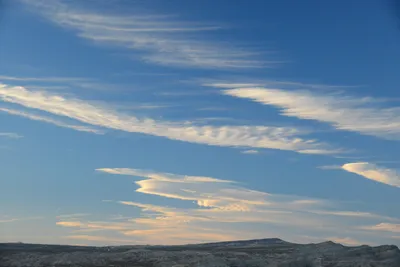 DSC_0309 (Large).JPG